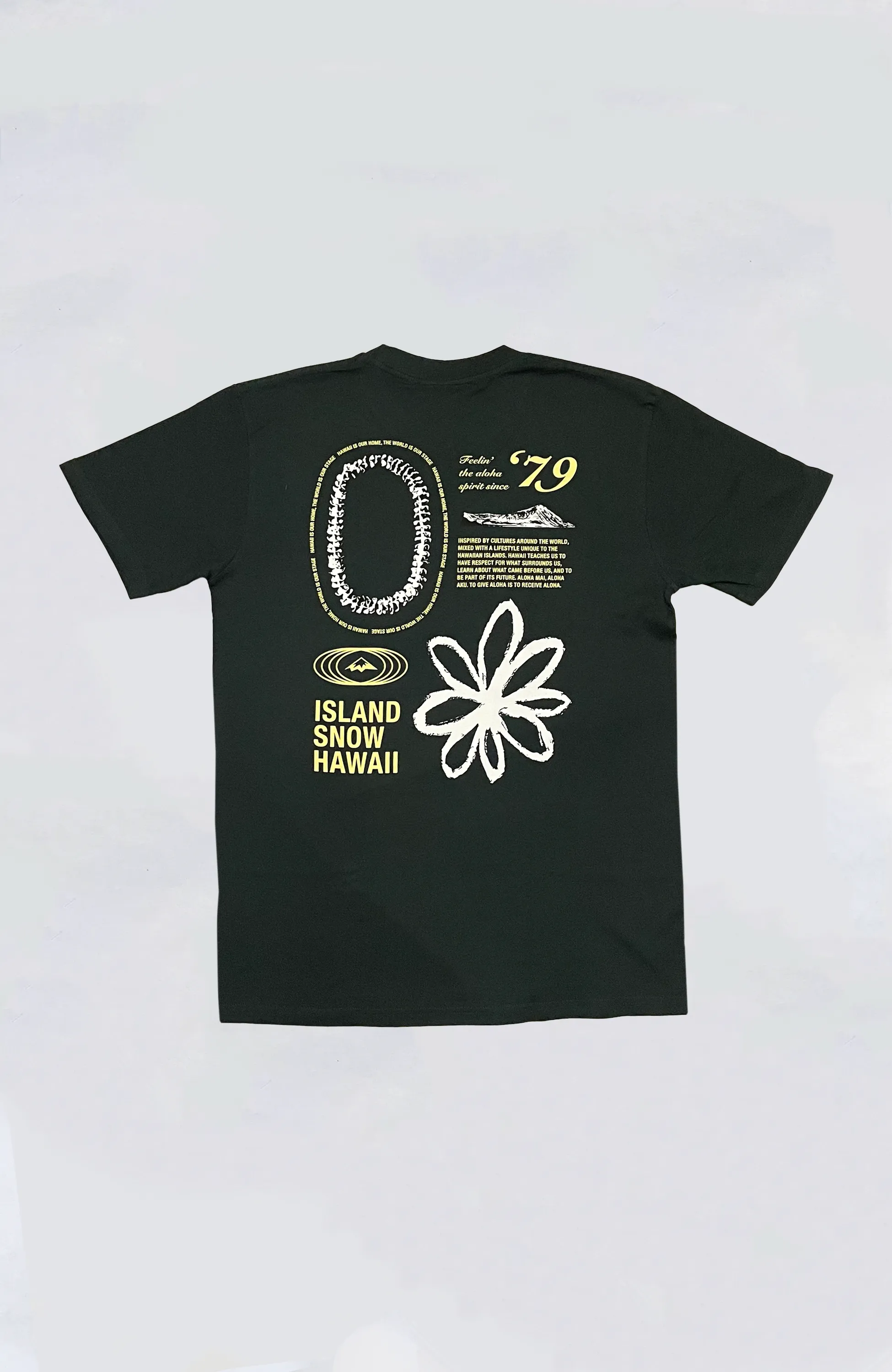 Island Snow Hawaii - IS Old Skool Premium Heavyweight Tee
