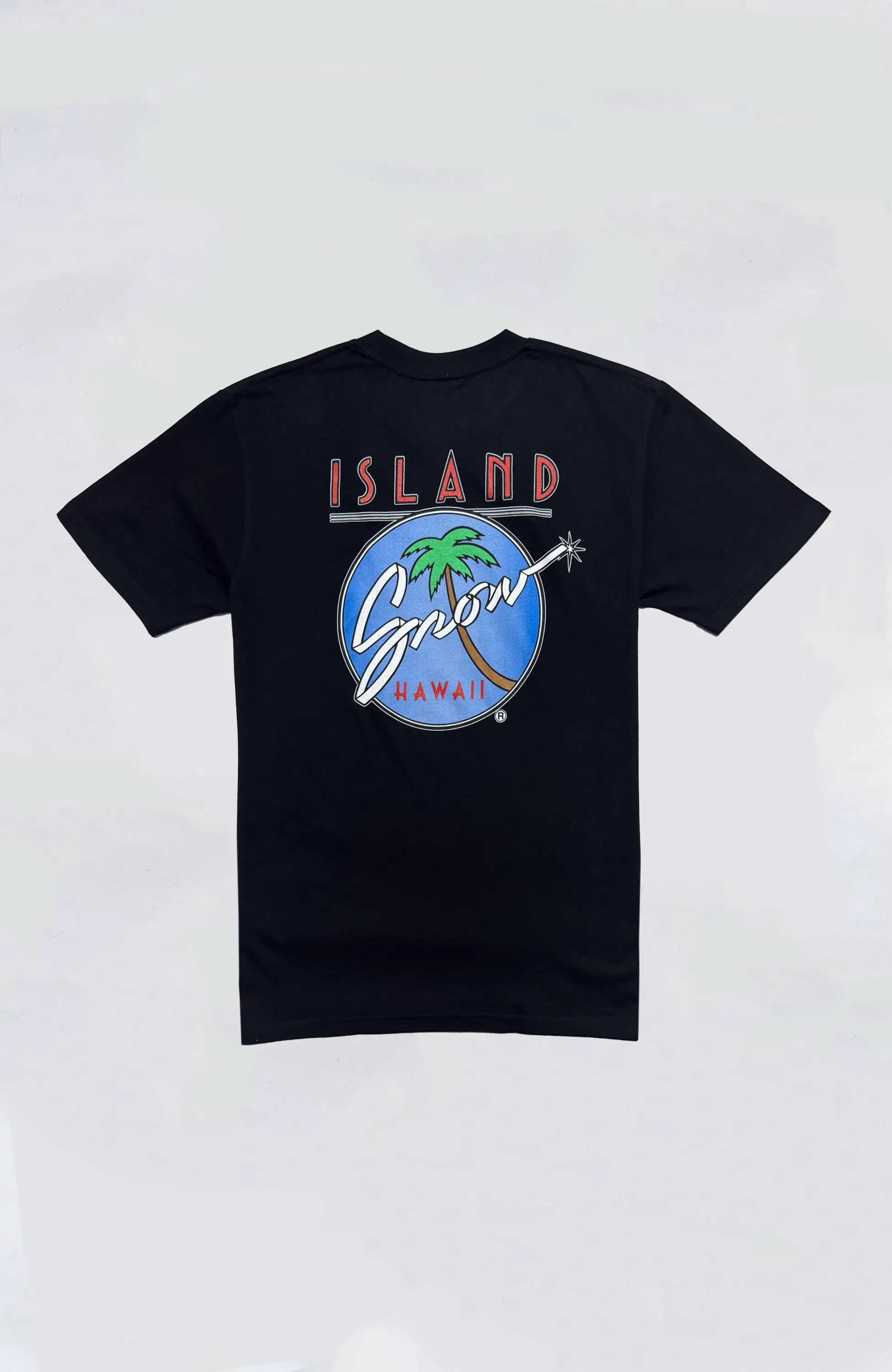 Island Snow Hawaii - IS Original Logo Premium Heavyweight Tee