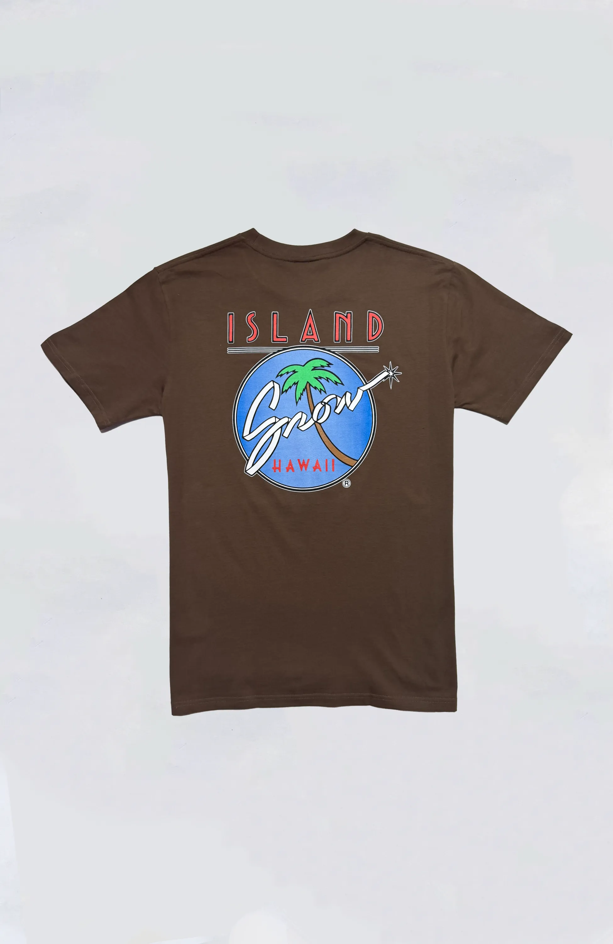 Island Snow Hawaii - IS Original Logo Premium Heavyweight Tee