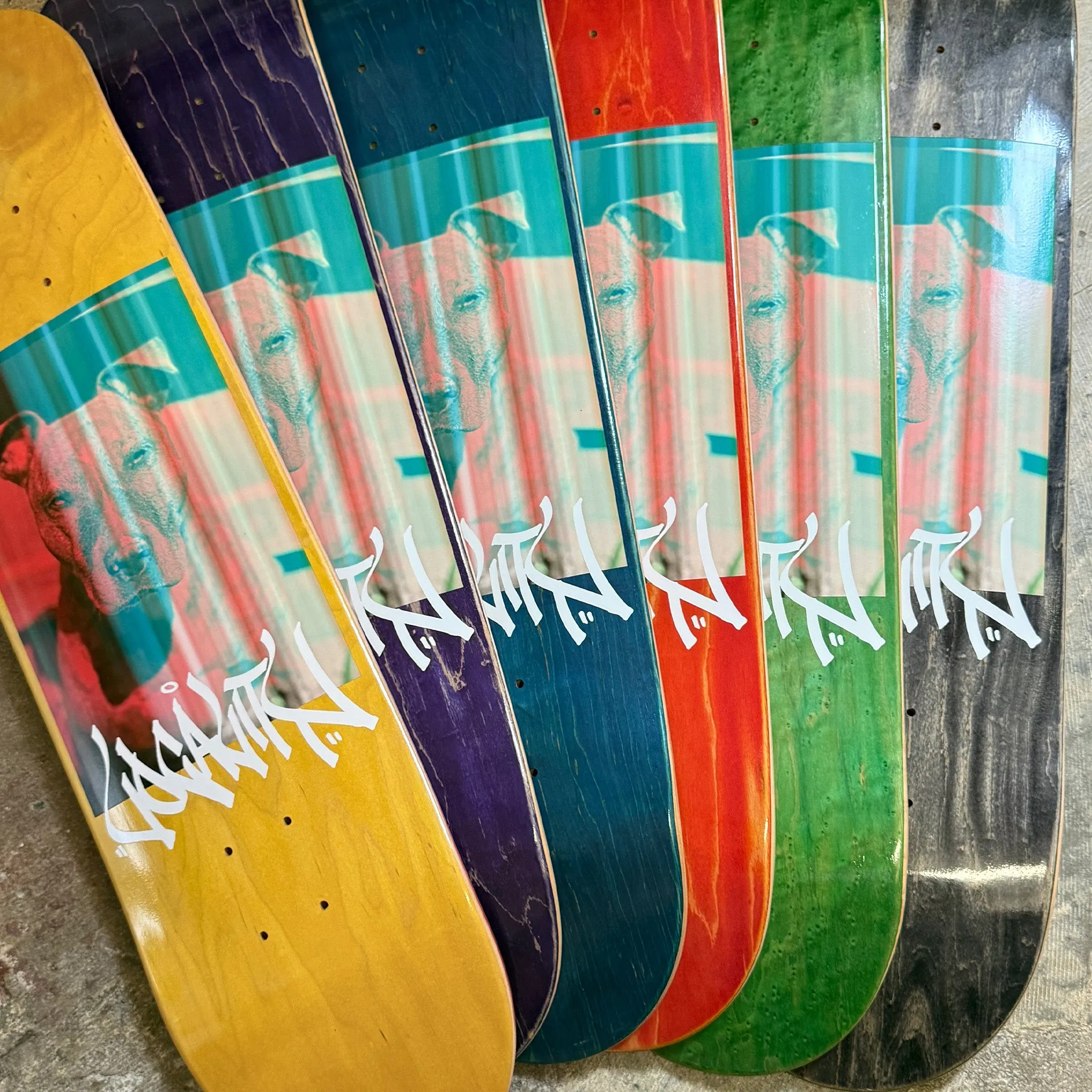 Locality Archie Deck Assorted Sizes